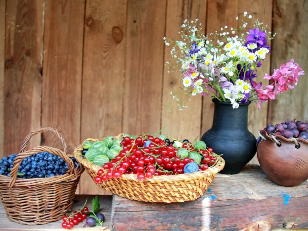 Ирина Приходько натюрморты