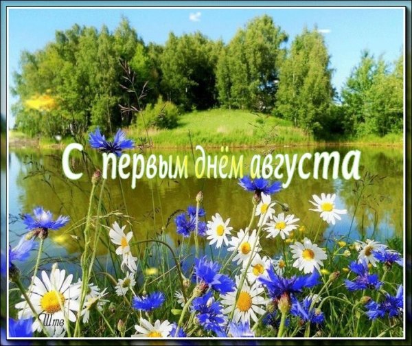 Влюбленные с ромашками