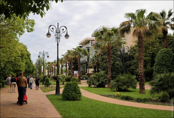 Адлер Центральный район парк