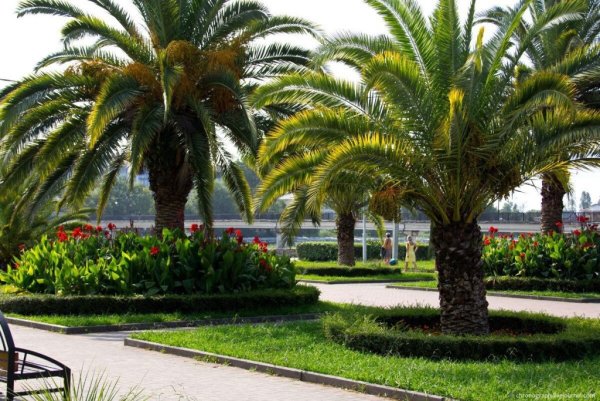 Сочи и Адлер