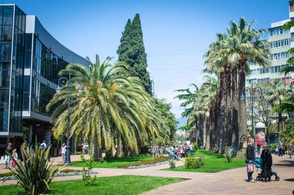 Черное море Сочи