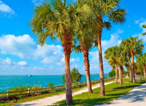 Сочи Адлер Олимпийский парк