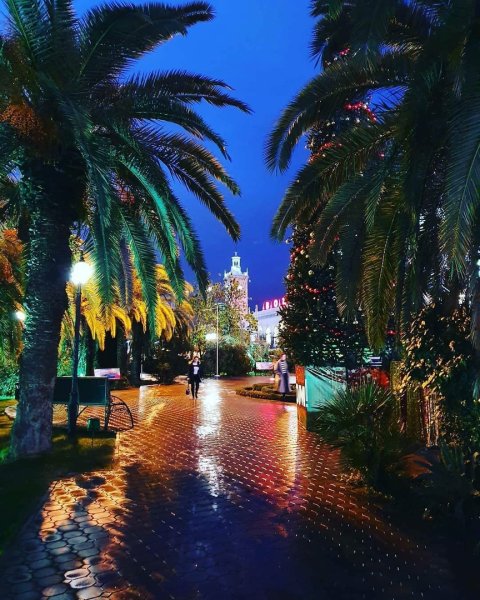 Черное море галечный берег