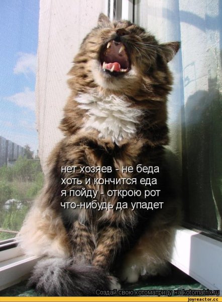 Шутки про похолодание