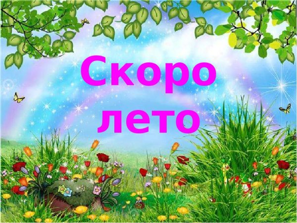 Лето на носу