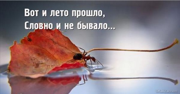 Вот и лето прошло будто и не бывало
