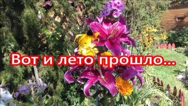 Вот и лето прошло