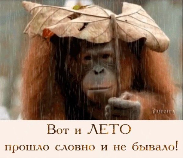 Вот и лето прошло словно и не бывало