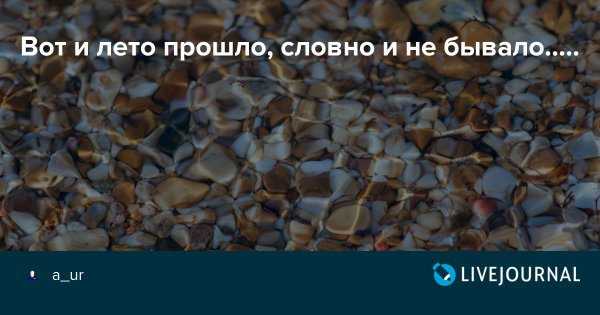 Вот и лето прошло словно и не бывало