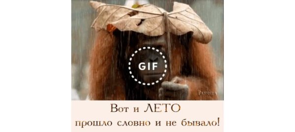 Вот и лето прошло