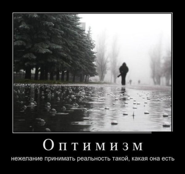 Принимай жизнь такой какая она есть