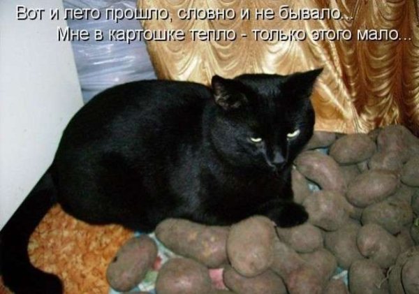 Вот и лето прошло