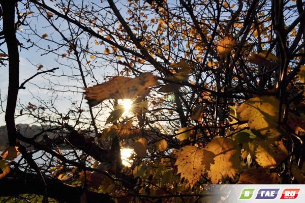 Гвоздев лето раздарив тепло