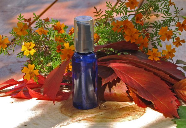 Лето прошло фото