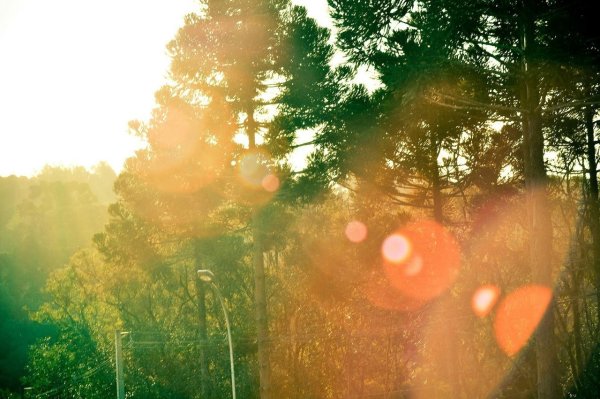 София Ротару лето прошло