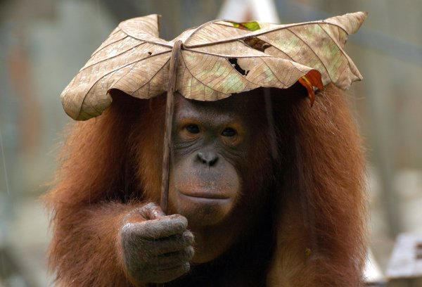 Открытки конец лета прикольные