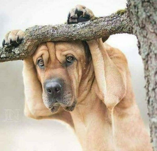 Вот и лето прошло словно и не