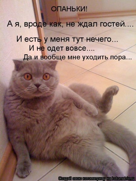 Я жду прикольные