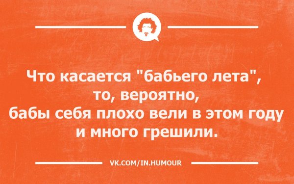 Коты ждут весну