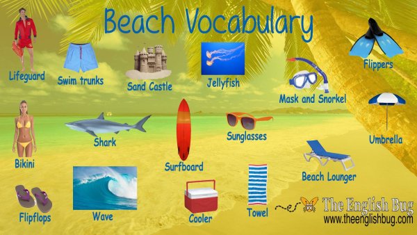 Summer надпись