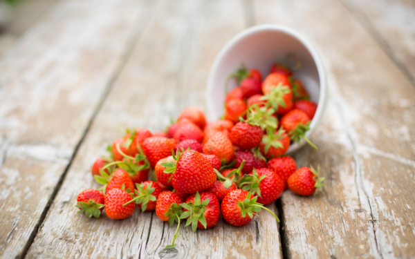 Цветочная Поляна