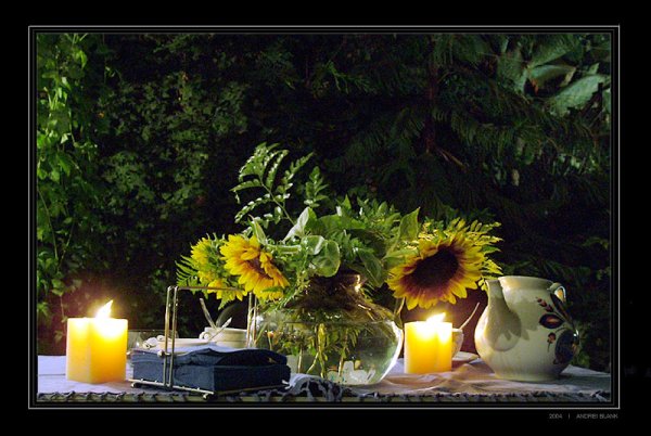 Доброго летнего вечера