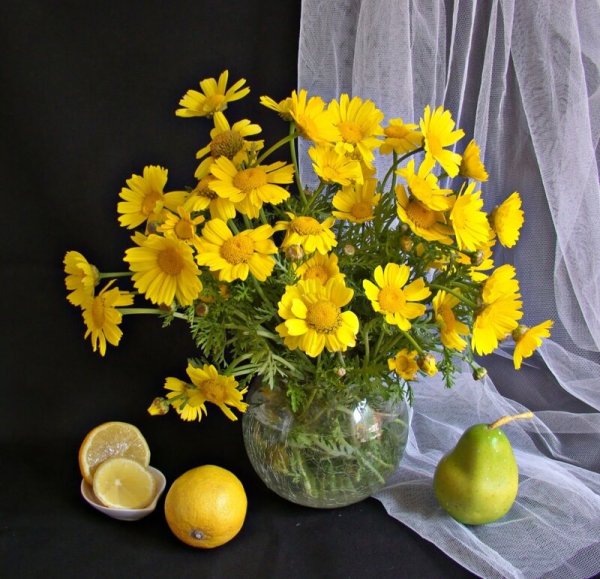 Добрый вечер природа