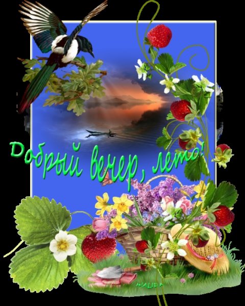 Доброго вечера природа цветы