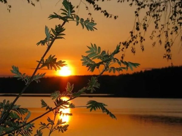 Чудесного летнего вечера