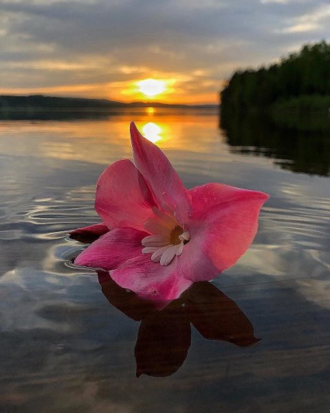 Чаепитие в осеннем саду