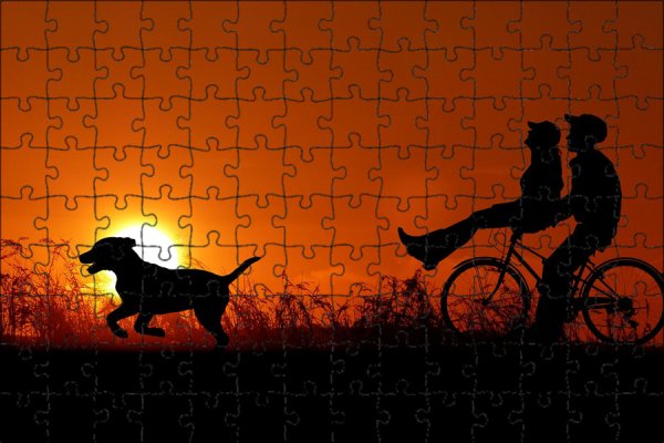 Велосипедист закат собака