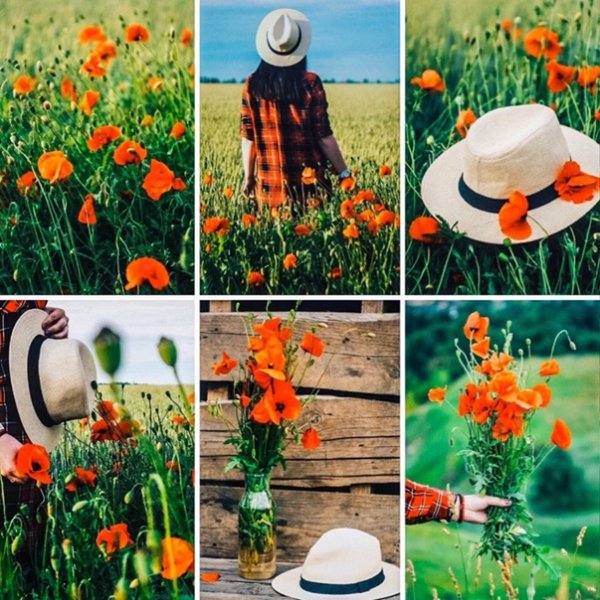 - Подвезёте?.. 🌞 - вам куда?.. - А давайте, прямо к лету!.. 🌻🌻