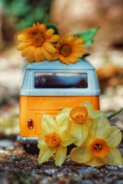 Девушка вас подвезти