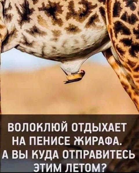 Машина мультяшная