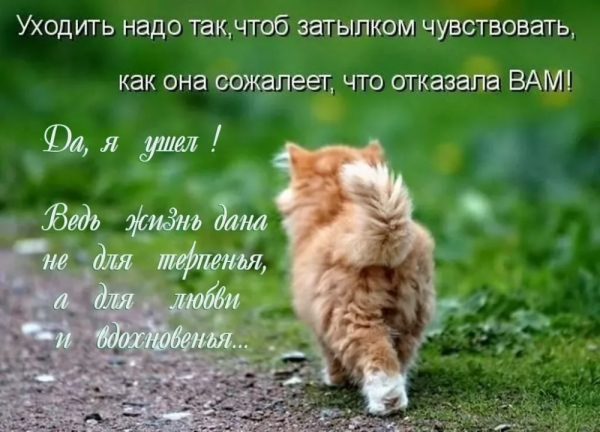 Женщина на огороде смешные