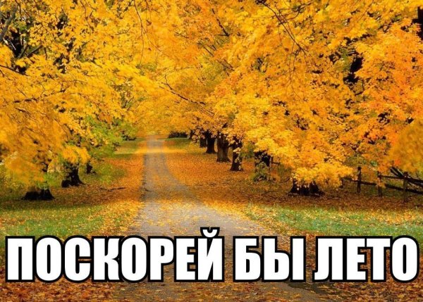 Мемы про осень