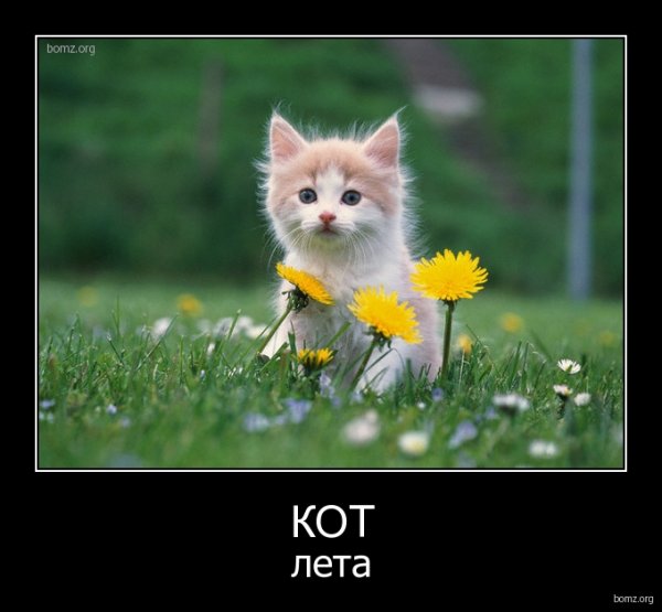 Отпуск ожидание и реальность