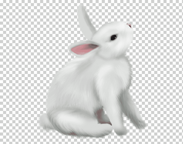 Белый заяц на белом фоне