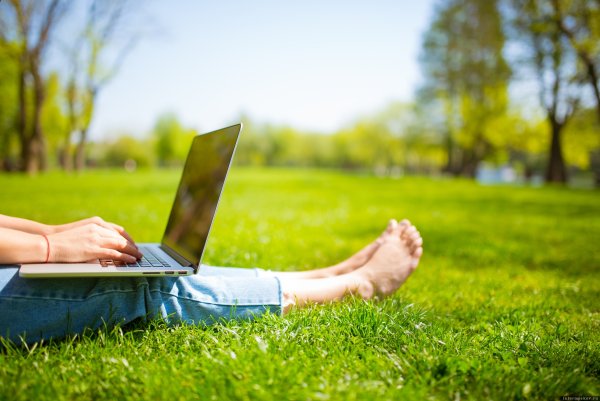 Лето ноутбук