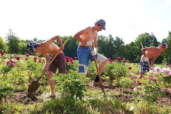 Позитивные эмоции