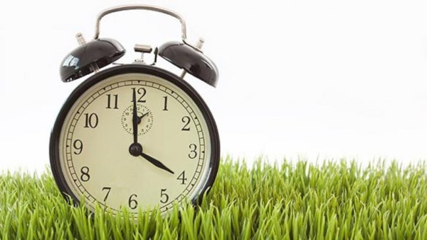 Ноутбук на природе