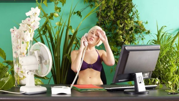 С ноутбуком на пляже