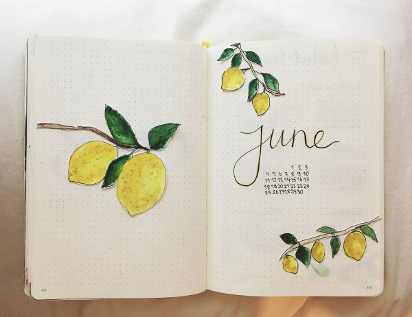 Титульный лист скетчбука