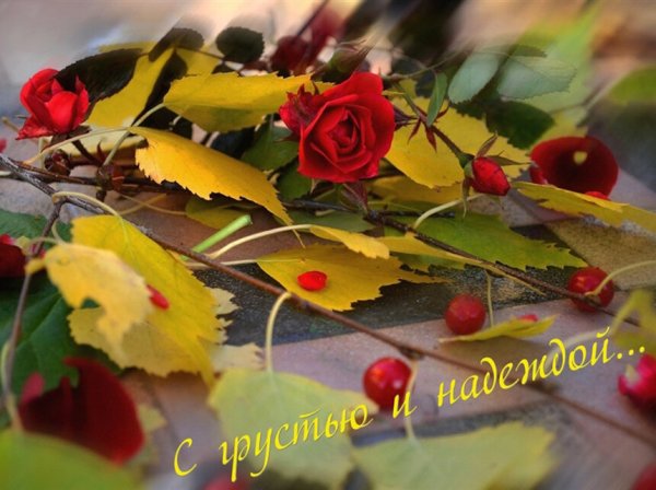 Осень спасибо сентябрь