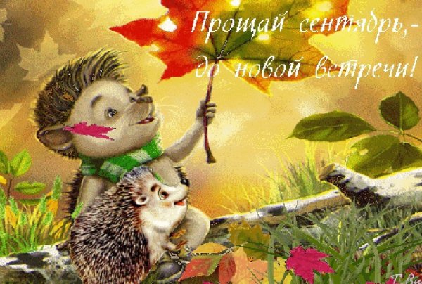 Прощай сентябрь