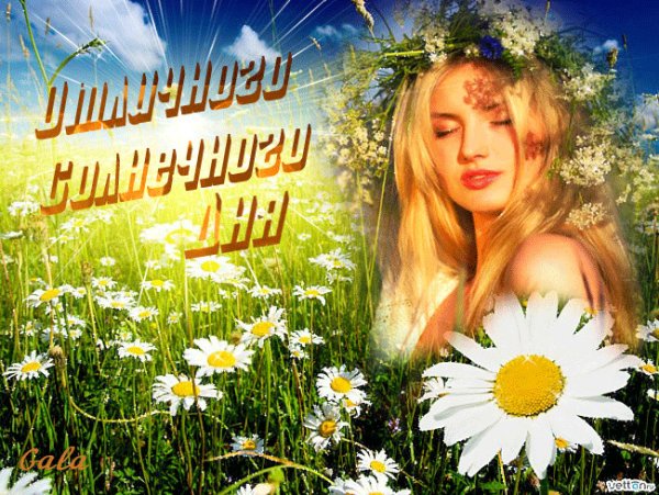 С летом поздравления