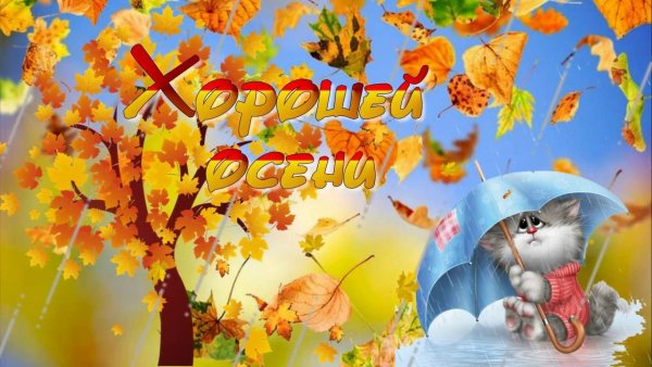 До новых встреч осень