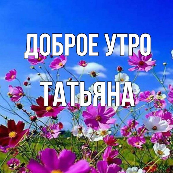 Чудесного летнего дня