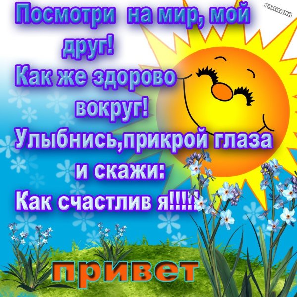 Ромашки и земляника