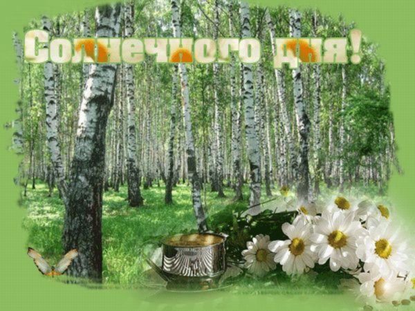 Доброго дня природа